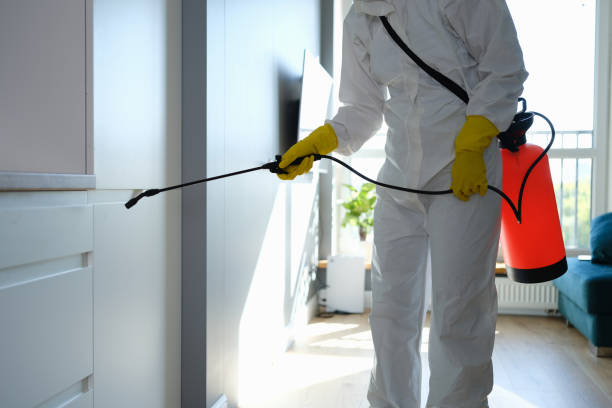 Mold Remediation for Vacation Homes in Cookeville, TN